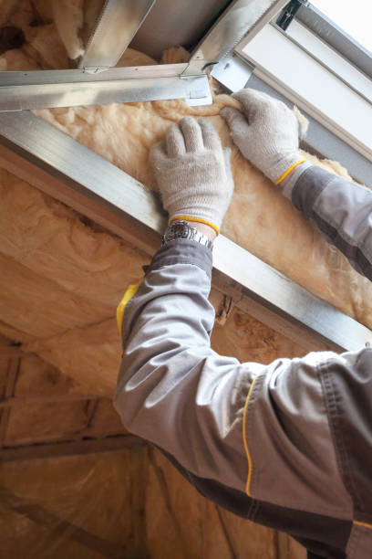 Best Insulation for New Construction  in West Rson, CA