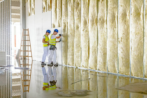 Best Blown-In Insulation  in West Rson, CA